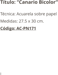 Título: “Canario Bicolor” Técnica: Acuarela sobre papel Medidas: 27.5 x 30 cm. Código: AC-PN171       I
