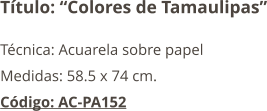 Título: “Colores de Tamaulipas” Técnica: Acuarela sobre papel Medidas: 58.5 x 74 cm. Código: AC-PA152