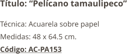 Título: “Pelícano tamaulipeco” Técnica: Acuarela sobre papel Medidas: 48 x 64.5 cm. Código: AC-PA153